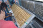 8 Faces Rotary Paper Egg Tray Making Machine 6* 8 Big Capacity