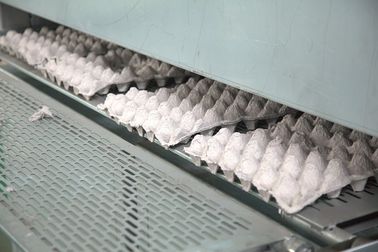 Pulp Egg / Apple Fruit Tray Moulding Machine With Drying System