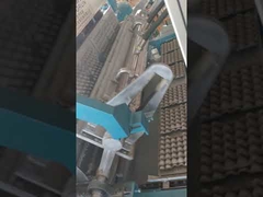 VID_20190528_102102.mp4