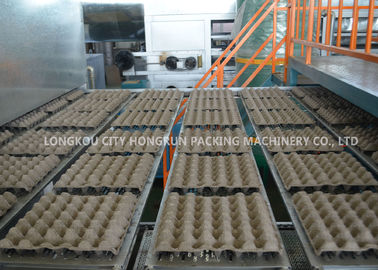 380V  Pulp Apple Tray Machine , Paper Recycle Egg Carton Making Machine