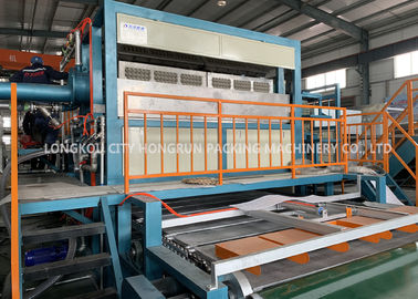 Pulp Egg Tray Moulding Machine , Egg Carton Machine Pulp Molding Machine