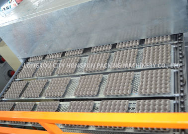 Receyle Paper Pulp Molding Machine For Egg Box , Full Automatic Egg Tray Machine